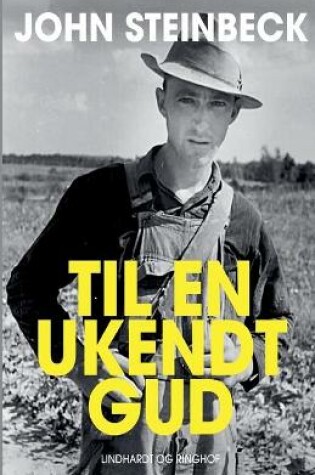 Cover of Til en ukendt gud