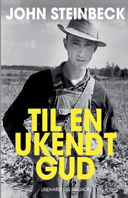 Book cover for Til en ukendt gud