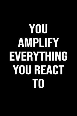 Book cover for You Amplify Everything You React To