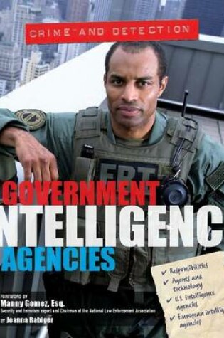 Cover of Government Intelligence Agencies