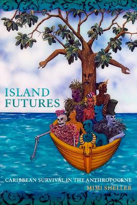 Book cover for Island Futures