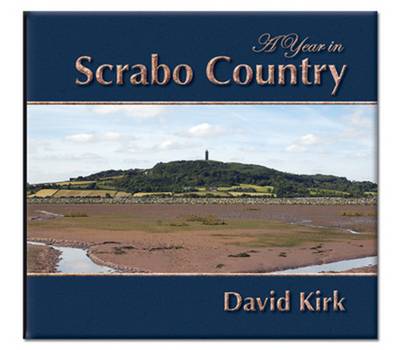 Book cover for A Year in Scrabo Country