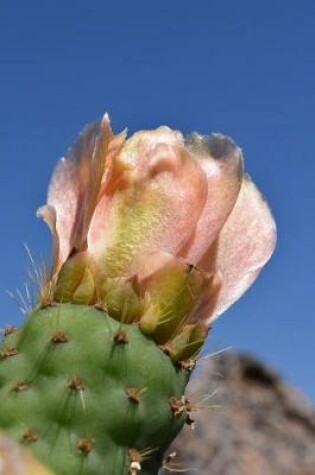 Cover of Pink Cactus Bloom in the Desert Journal