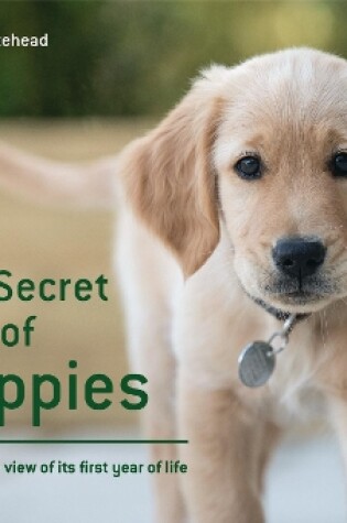 Cover of The Secret Life of Puppies