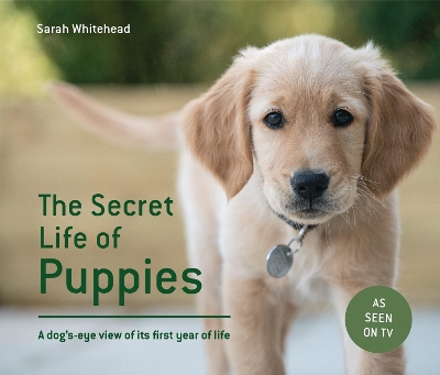 Book cover for The Secret Life of Puppies
