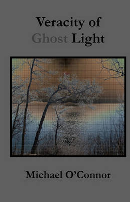 Book cover for Veracity of Ghost Light