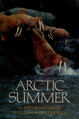 Cover of Arctic Summer