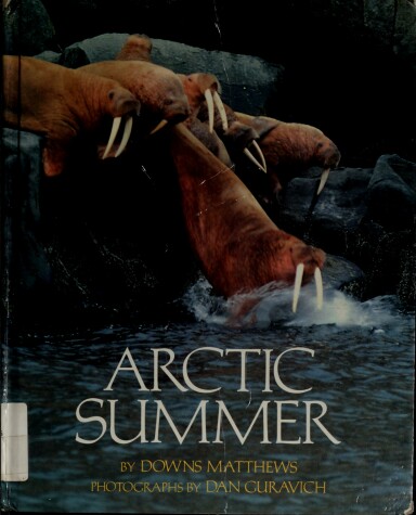 Book cover for Arctic Summer