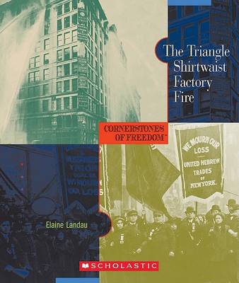 Cover of The Triangle Shirtwaist Factory Fire