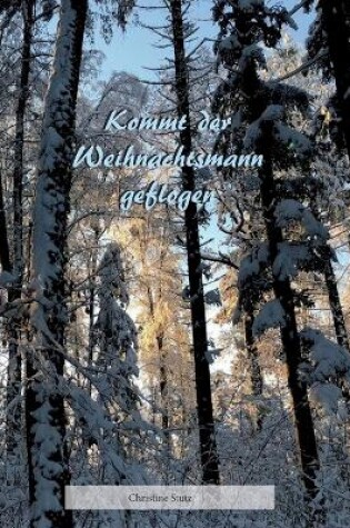 Cover of Kommt der Weihnachtsmann geflogen