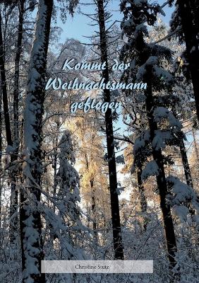 Book cover for Kommt der Weihnachtsmann geflogen