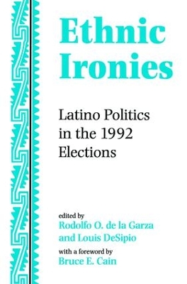 Book cover for Ethnic Ironies