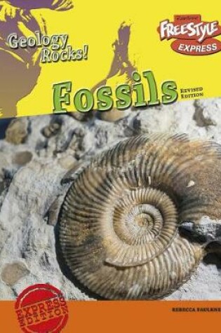 Cover of Geology Rocks Fossils