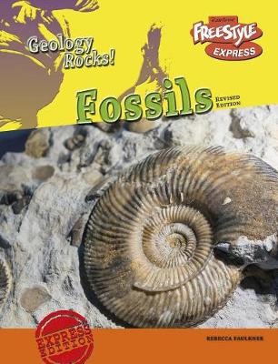 Book cover for Geology Rocks Fossils