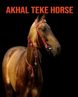 Book cover for Akhal Teke Horse