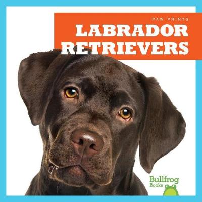 Cover of Labrador Retrievers