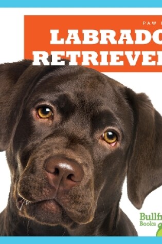 Cover of Labrador Retrievers