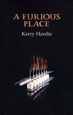 Book cover for A Furious Place