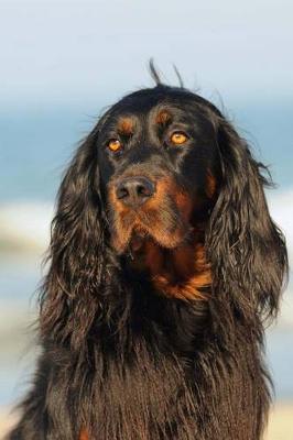 Book cover for Gordon Setter Dog Portrait Journal