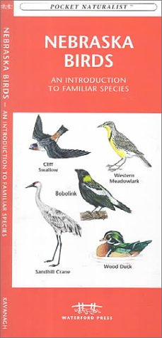 Book cover for Nebraska Birds