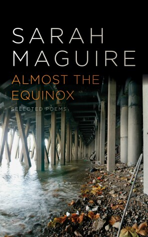 Book cover for Almost the Equinox