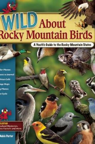 Cover of Wild About Rocky Mountain Birds