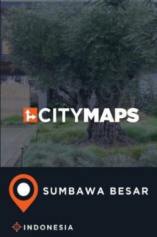 Cover of City Maps Sumbawa Besar Indonesia