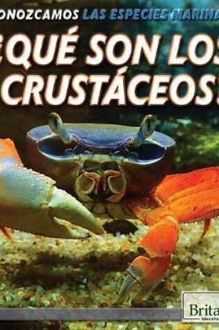 Cover of ¿Qué Son Los Crustáceos? (What Are Crustaceans?)