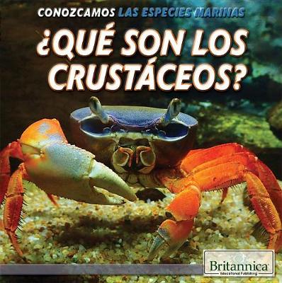 Book cover for ¿Qué Son Los Crustáceos? (What Are Crustaceans?)