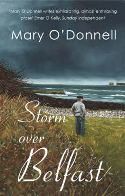 Book cover for Storm Over Belfast