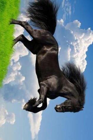 Cover of A Beautiful Black Horse Leaping in the Air