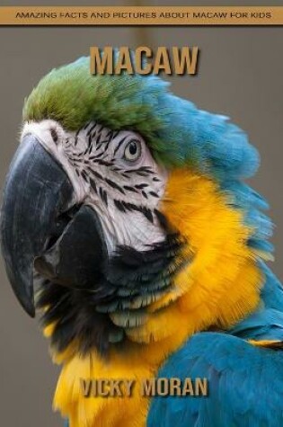 Cover of Macaw