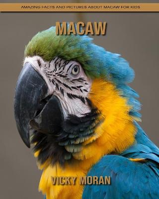 Book cover for Macaw