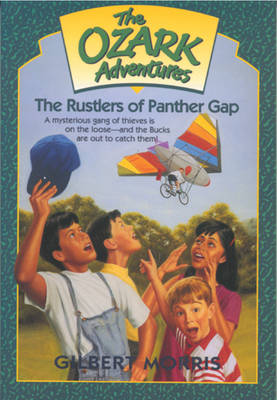 Book cover for The Rustlers of Panther Gap