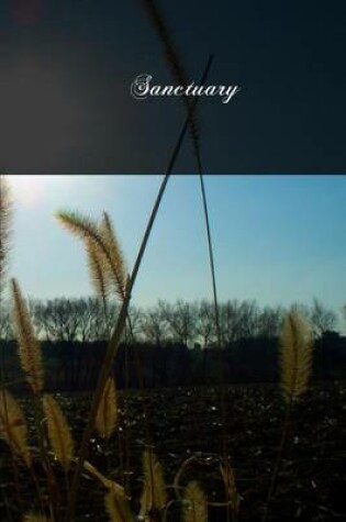 Cover of Sanctuary