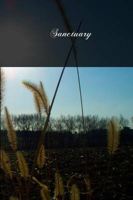 Book cover for Sanctuary