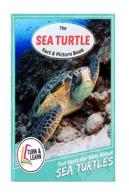 Book cover for The Sea Turtle Fact and Picture Book