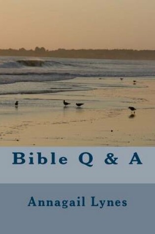 Cover of Bible Q & A