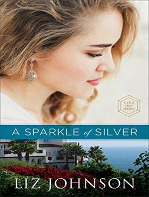 Book cover for A Sparkle of Silver