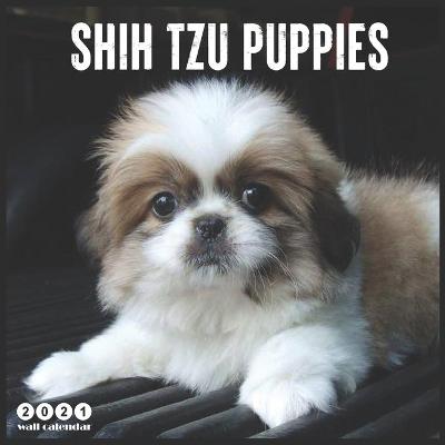 Book cover for Shih Tzu Puppies 2021 Calendar