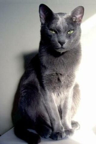 Cover of The Korat Cat Journal "You Will Obey My Every Command, Human."
