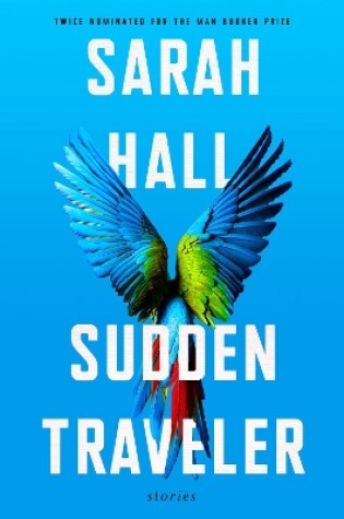 Cover of Sudden Traveler