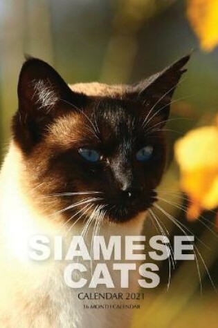 Cover of Siamese Cats Calendar 2021