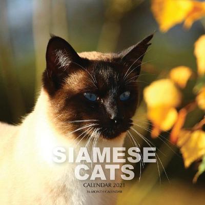 Book cover for Siamese Cats Calendar 2021