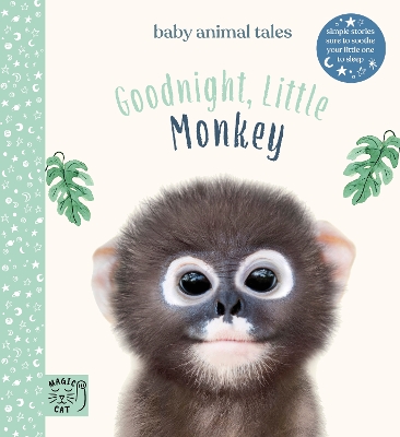 Book cover for Goodnight, Little Monkey