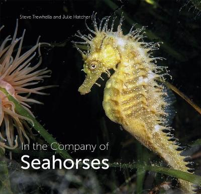 Book cover for In the Company of Seahorses