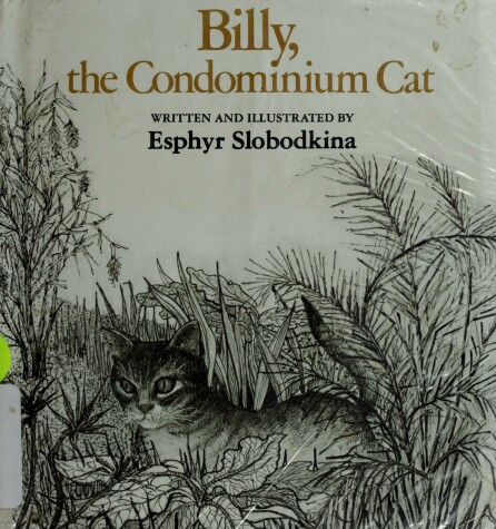 Book cover for Billy, the Condominium Cat