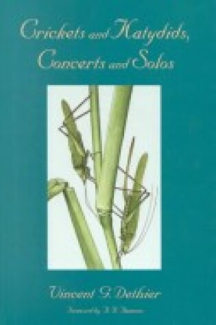 Cover of Crickets and Katydids, Concerts and Solos