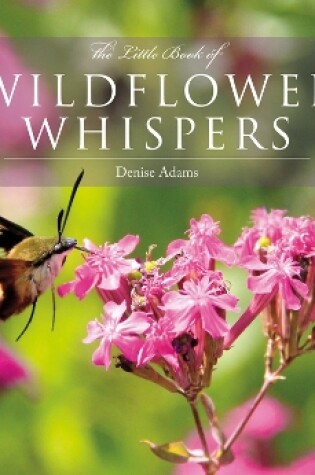 Cover of The Little Book of Wildflower Whispers