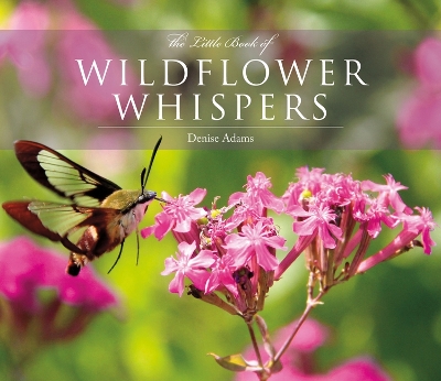 Book cover for The Little Book of Wildflower Whispers